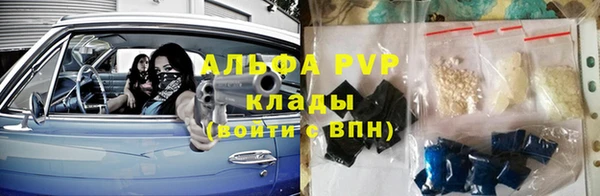 индика Алексин