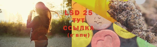 гидра Семёнов