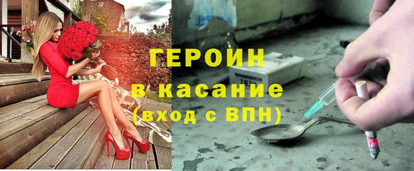 индика Алексин