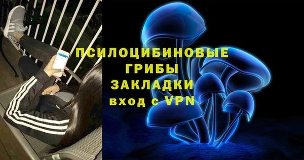 хмурый Алексеевка