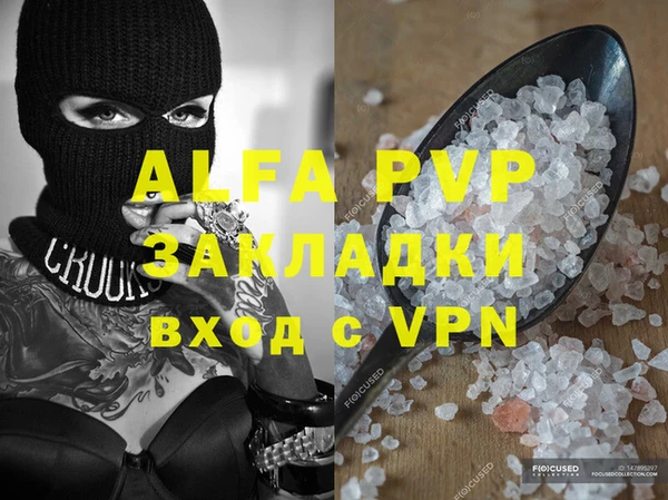 индика Алексин