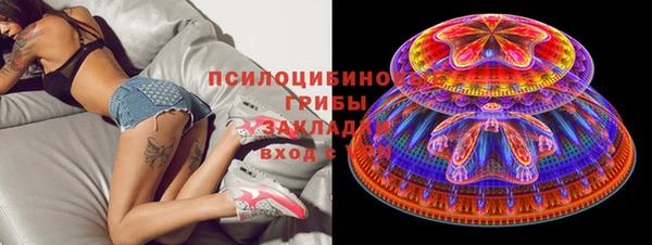 индика Алексин